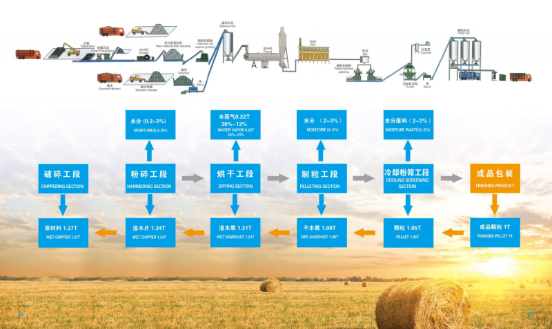 开云体育下载宣传册_13 - 副本.png